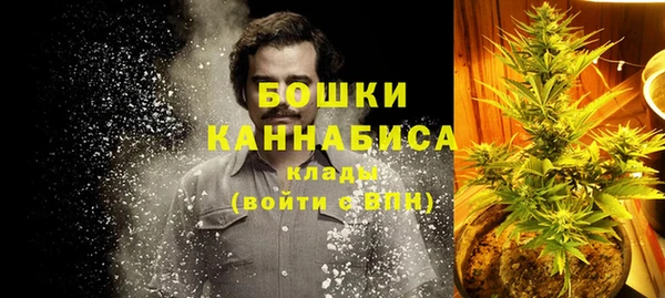 трава Арсеньев