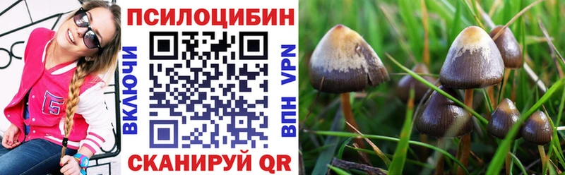 Галлюциногенные грибы мицелий Шадринск